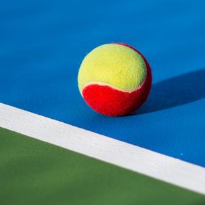 江南sports聪聪头像