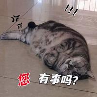 骆驼祥子9038头像