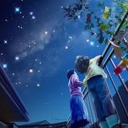 Merlin462的个人资料头像