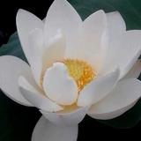 用户8546360374447头像