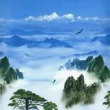 陈培志516头像