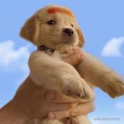 前端曉敏的个人资料头像