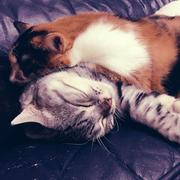 薛milk的个人资料头像