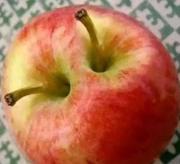 用户27458808436的个人资料头像