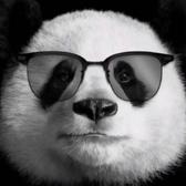 不煽情1头像