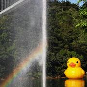 Tim_Chen的个人资料头像