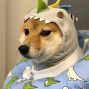 添砖Java110的个人资料头像