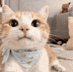 qaqhhh的个人资料头像