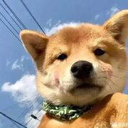 善德nicebi的个人资料头像