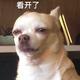 会飞的猫8866 · 阿特兹车主·车龄4年头像