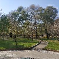 佳木斯的雪头像