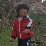 聊股侃山头像