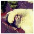 BEN的个人资料头像