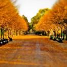 knock的个人资料头像