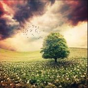 caseyluluding的个人资料头像