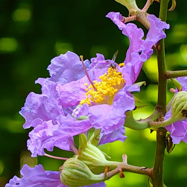 全国社保养老金解头像