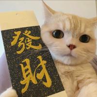 请在给我点时间头像