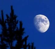 山海明月的个人资料头像