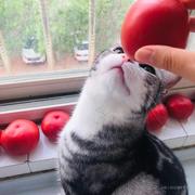 PrettyPig的个人资料头像