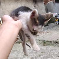 铁柱²⁰²³头像