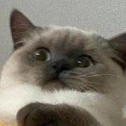 lydhl的个人资料头像