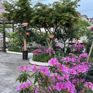 日月之约头像