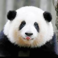 ___蔚倪倾情头像