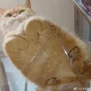 取名困难症的个人资料头像