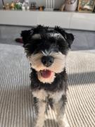 evalik的个人资料头像