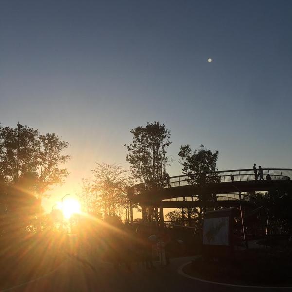 阿强风景音乐头像