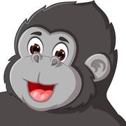 暗香残留的个人资料头像