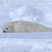 深巷的喵的个人资料头像