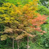 用户8081566779559头像