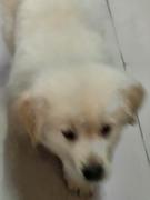 球球865132的个人资料头像