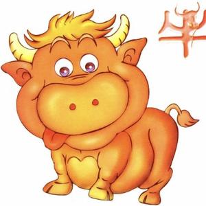 晓心奕奕85头像