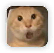 温水煲的个人资料头像