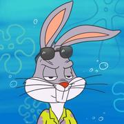 千万个帆的个人资料头像