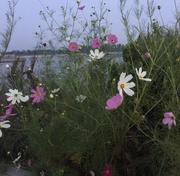 z1474524820777的个人资料头像