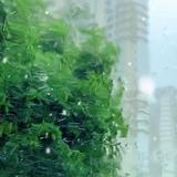 奋斗到底头像