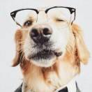 墨水几两的个人资料头像