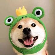 Halo丶的个人资料头像