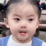 黄大仙4915头像