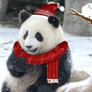 up725的个人资料头像