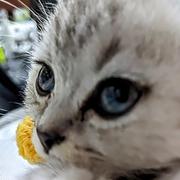 悠哉独自在的个人资料头像