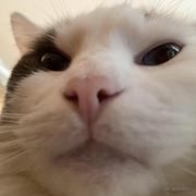 五柱子的个人资料头像