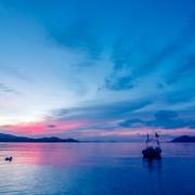 风亦缘的个人资料头像