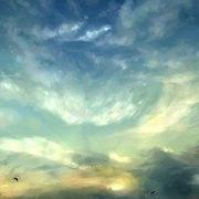 黄鸿彬的个人资料头像