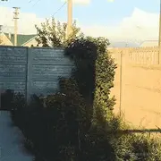 老板的心腹的个人资料头像
