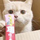 事后清晨的个人资料头像