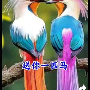 抖音追梦人头像